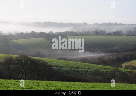 Early morning mist hangs in valleys amongst fields and wooded hedgerows in the Cornish countryside. Stock Photo