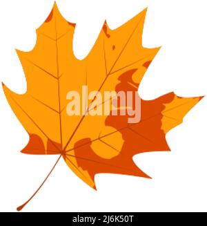 Withered autumn motley leaf. Fallen leaf with blot texture. Stock Vector