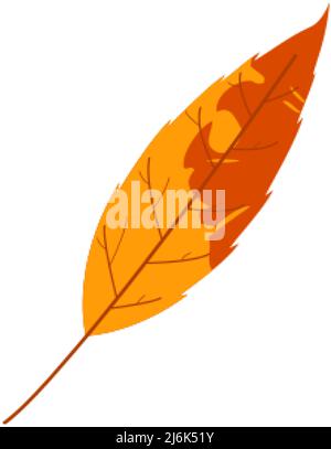 Withered autumn motley leaf. Fallen leaf with blot texture. Stock Vector