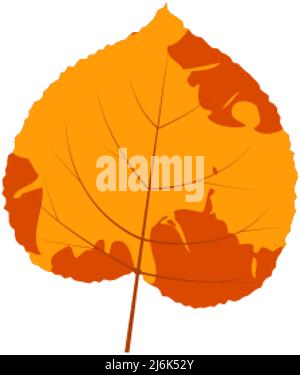 Withered autumn motley leaf. Fallen leaf with variegated texture. Stock Vector