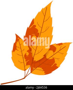 Withered autumn motley leaf. Fallen leaf with variegated texture. Stock Vector
