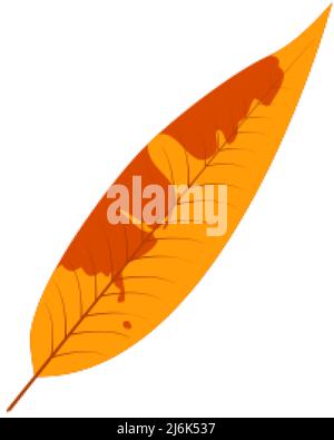 Withered autumn motley leaf. Fallen leaf with variegated texture. Stock Vector