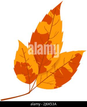 Withered autumn motley leaf. Fallen leaf with variegated texture. Stock Vector