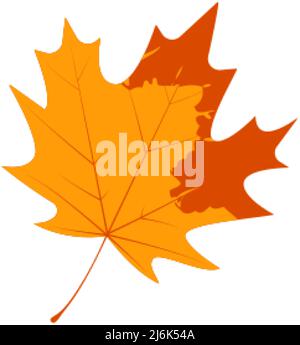 Withered autumn maple leaf. Fallen leaf with notley texture. Stock Vector