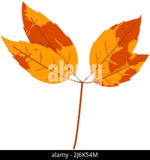 Withered autumn motley leaf. Fallen leaf with variegated texture. Stock Vector