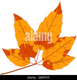 Withered autumn motley leaf. Fallen leaf with variegated texture. Stock Vector