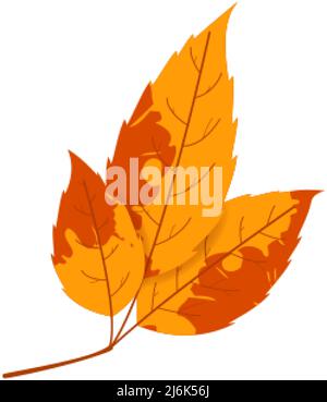 Withered autumn motley leaf. Fallen leaf with variegated texture. Stock Vector