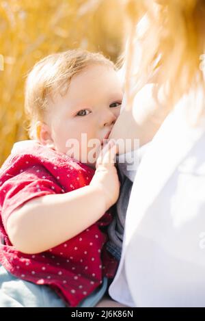 An eight-month-old baby drinks mother's milk when his mother is breastfeeding him Stock Photo