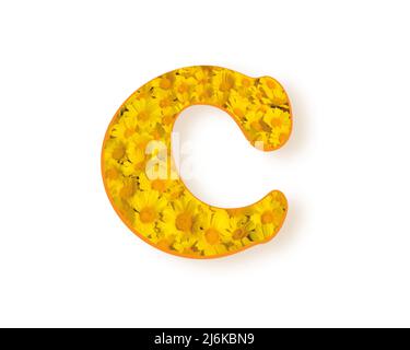 Letter C logo. Yellow color spring flower capital letter C, design element alphabet, daisies texture, vector illustration isolated on white background Stock Vector