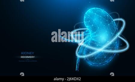 Polygonal vector illustration of human kidney recovery on a dark blue background. Treatment of the organs of the human excretory system. Urology or ne Stock Vector