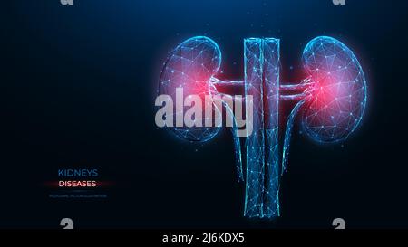 Polygonal vector illustration of an inflamed human kidney on a dark ...