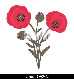 Poppies with flower buds and leaves, colorful illustration Stock Vector