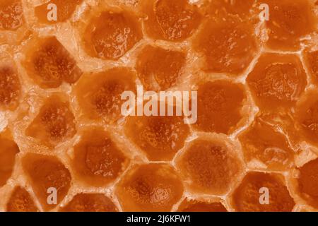Yellow honeycomb texture closeup. Honeycomb microphotography. Stock Photo