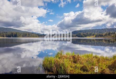Beautiful landscape of a lake in a forest. Rolley Lake Provincial Park near the town of Mission in British Columbia, Canada. Travel photo, nobody, sel Stock Photo