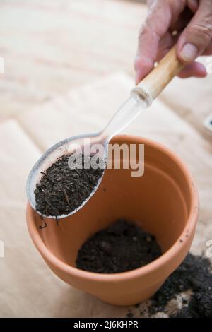 Human hand with a big spoon adding soil to a clay pot. Directly above. Vertical shot Stock Photo