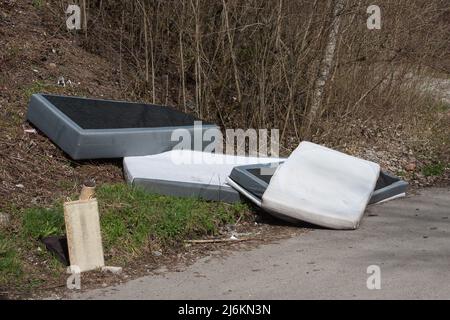 In Germany's forests, more and more waste ends up in the forest. Stock Photo