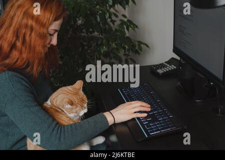 Woman working on keyboard and computer with cat on her laps. Freelancer doing her work at home with pet. IT specialist writing letter or coding Stock Photo