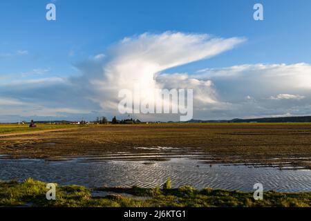 Spring storm as sunset approaches in the Skagit Valley with a cloud dominating the horizon Stock Photo