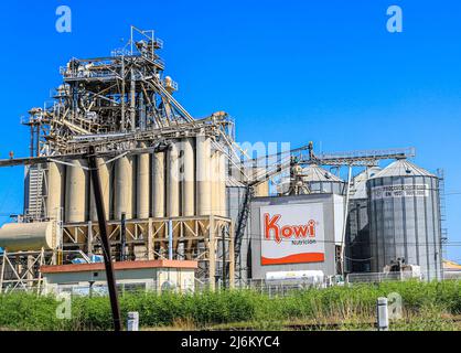 Kowi carne de cerdo, puerco, pork Industrial and agricultural zone in ...