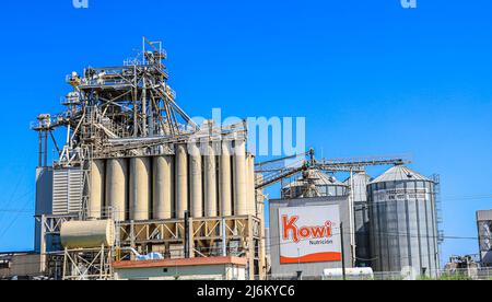 Kowi carne de cerdo, puerco, pork Industrial and agricultural zone in ...