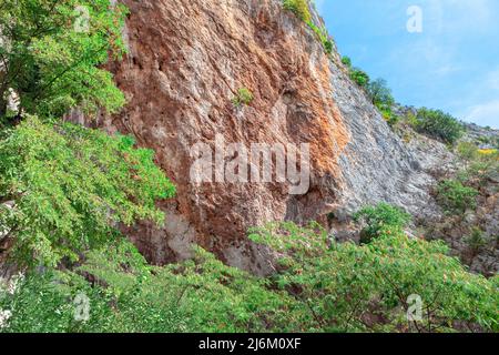 Mountain wall with trees . Vertical rocky cliff Stock Photo