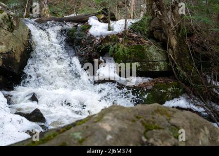 Water rushes over rocks at a small waterfall in a stream during the spring thaw. The whitewater crashes alongside leftover snow and mossy rocks. Stock Photo