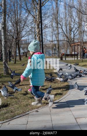 A girl scares the pigeons in the city park. A flock of birds eats sitting on the path. A child runs and scares the birds. Stock Photo