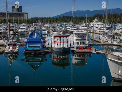 Cute, colourful floating houseboats line the docks with calm water reflections. This alternative housing is growing in popularity with a challenging h Stock Photo