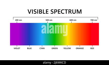 Visible spectrum of light. Electromagnetic spectrum visible by human ...