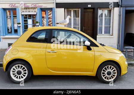 Gull standing on a car in Honfleur - Calvados - Normandy - France Stock Photo