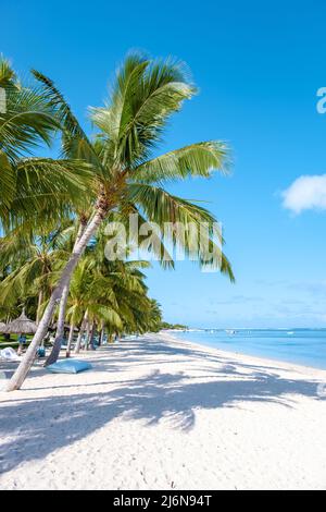 Tropical beach with palm trees and white sand blue ocean and beach beds with umbrellas, sun chairs, and parasols under a palm tree at a tropical beach. Mauritius Le Morne beach Stock Photo