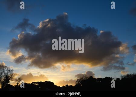 Large cumulus isolated and centered on the horizon at sunrise in backlight Stock Photo