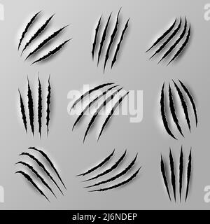 Grizzly bear claw marks and scratches, vector wild animal torn cracks ...