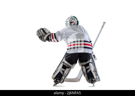 Portrait of a Professional Hockey Player Wearing Full Gear and a Hockey  Stick on a Gray Background. Stock Image - Image of people, portrait:  125273253