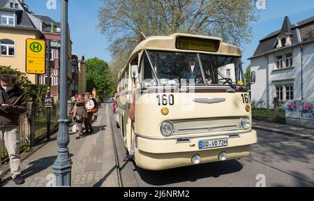 Leipzig 2017 – Ikarus Z80 bus at the Straßenbahnmuseum