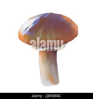 Different types of brown mushrooms on white background, Clip-art, art,  Hand drawing mushroom. Stock Photo