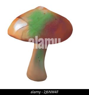 Different types of brown mushrooms on white background, Clip-art, art,  Hand drawing mushroom. Stock Photo