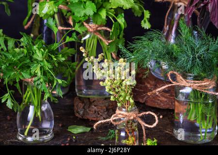 Close-up of bunches of fresh aromatic culinary herbs standing in glass jars on the kitchen table. Ingredients for a healthy diet, vegetarianism. Stock Photo