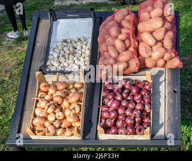 Bags of potatoes and various types of onions in crates Stock Photo