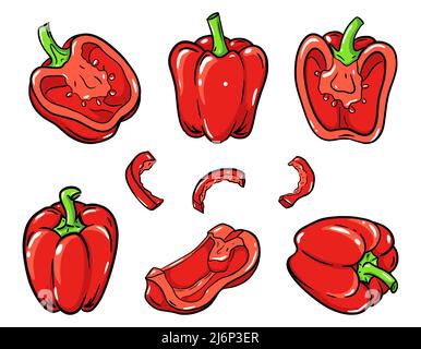 A set of sweet peppers in an outline style. A fresh vegetable is drawn by hand and isolated on a white background. Collection for food packaging desig Stock Vector