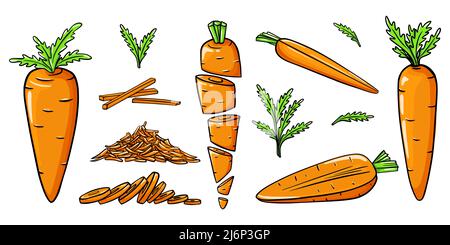 Bright orange carrots in Doodle style. Collection of hand-drawn vegetables. Whole, cut, sliced, grated, with leaves. Elements are isolated on white.Co Stock Vector