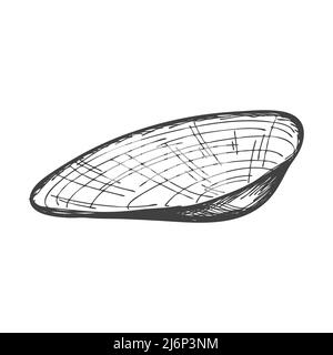 Hand-drawn seashells. An empty, closed, flat, oval solid shell of a mollusc or snail. Sketch style, engraved drawing. Black and white illustration iso Stock Vector