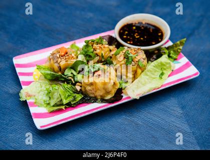 Pork dumpling appetizer Stock Photo