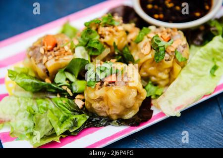 Pork dumpling appetizer Stock Photo