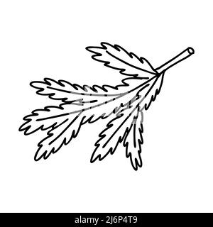 Spruce branch in Doodle style. The sketch is hand-drawn and isolated on a white background. Element of new year and Christmas design. Outline drawing. Stock Vector