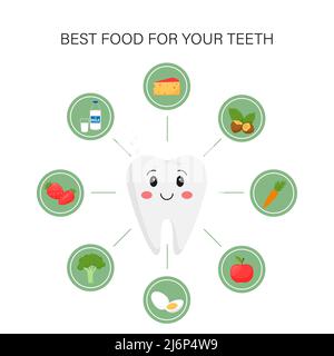 Elements of infographics. Products that are useful for dental health. Happy, healthy, beautiful tooth character surrounded by icons with products. Med Stock Vector