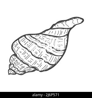 Hand-drawn seashells. Empty spiral solid shell of a clam or snail. Sketch style, engraved drawing. Black and white illustration isolated on a white ba Stock Vector