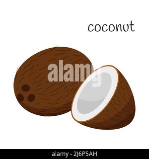 Coconut whole and half. Tropical, exotic fruit icon. Nut. Flat design. Color vector illustration isolated on a white background Stock Vector