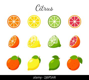Set of fruit and citrus icons. Orange, grapefruit, lime and lemon. Whole fruit, half cut and slices. Collection in a flat design. Color vector illustr Stock Vector