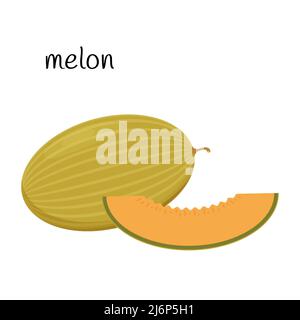 Melon whole and cut off a slice of fruit, berry icon. Flat design. Color vector illustration isolated on a white background Stock Vector